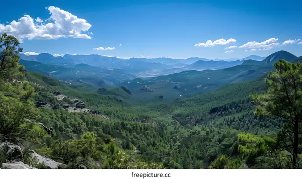Panoramic View of Mountains and Forests