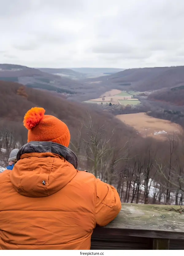 Person in an Orange Jacket Looking at a Mountain Valley