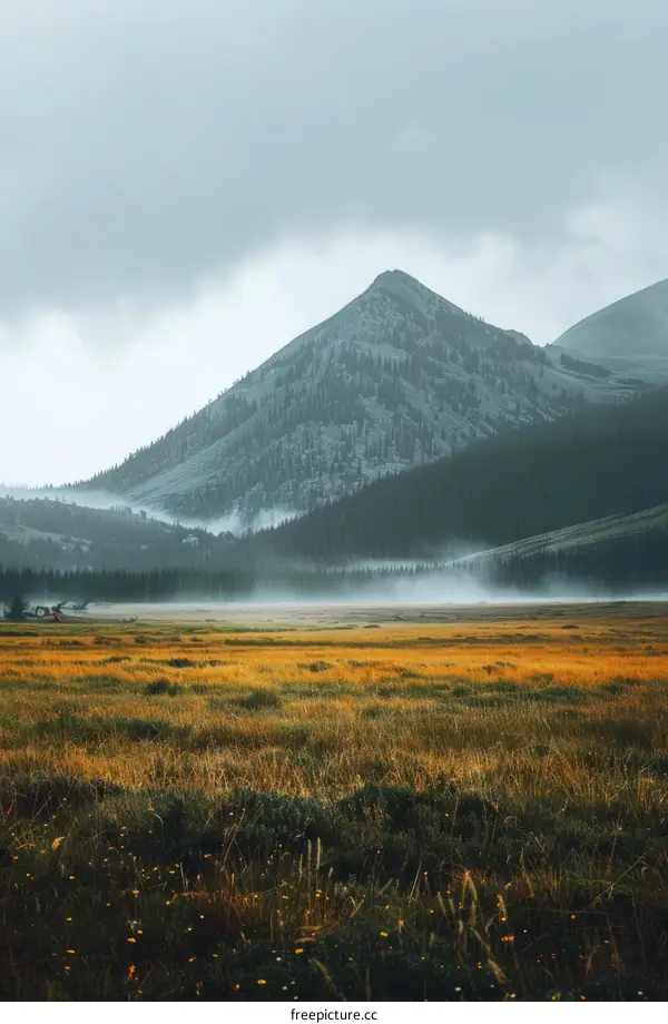 Foggy mountain landscape with a large grass field in front