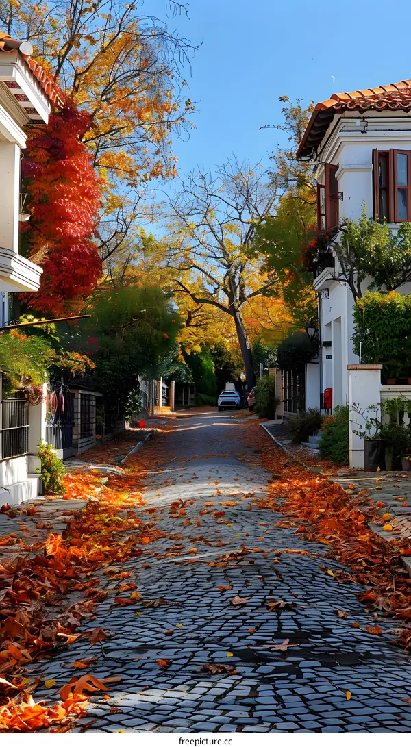 Autumn leaves on a cobblestone street