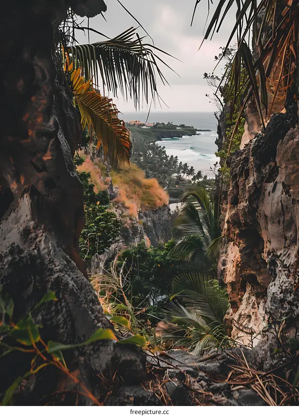 Tropical Cliffside View with Lush Palm Trees and Ocean