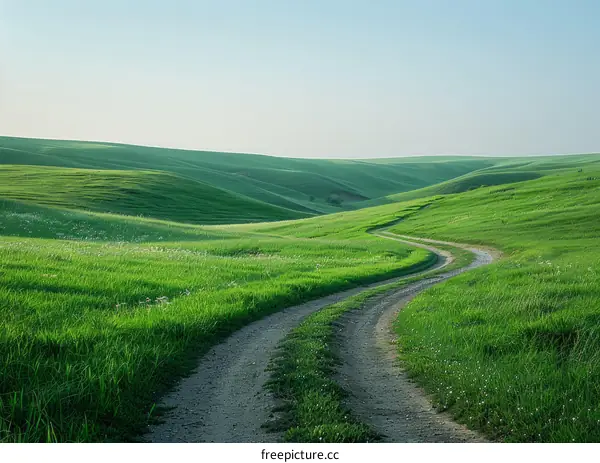 Serpentine Dirt Road Winding Through Rolling Green Hills