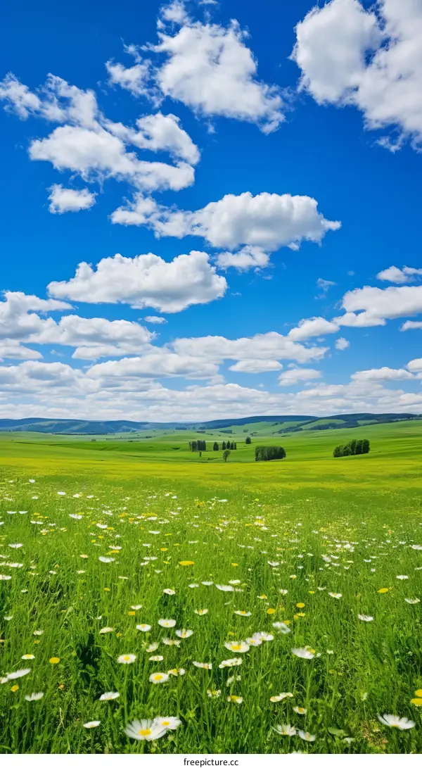 Rolling Green Hills under a Blue Sky