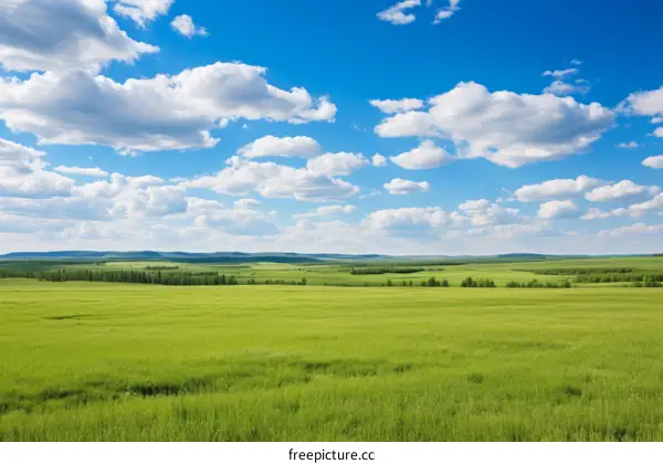 Beautiful green grassland scenery under blue sky and white clouds