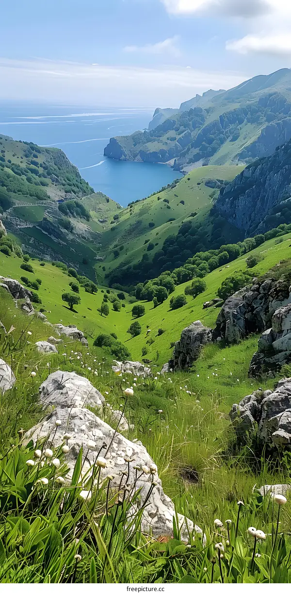 Green Hills overlooking a Sea Inlet in the Mountains