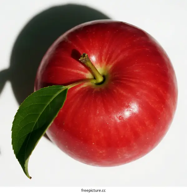 A close-up view of a single red apple with a leaf on it