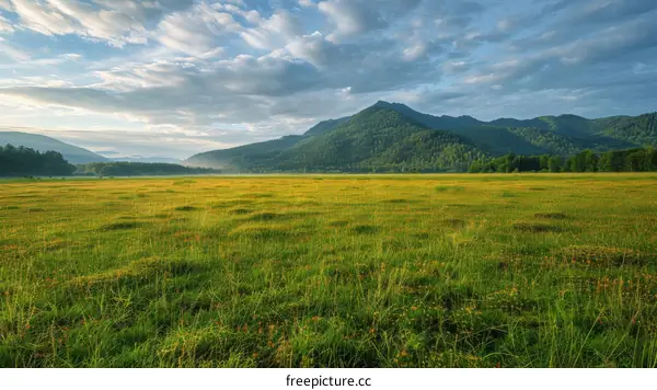 The green grass field with mountain in the distance under blue sky and white clouds