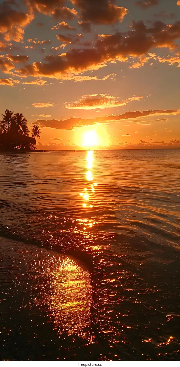sunset beach palm trees ocean