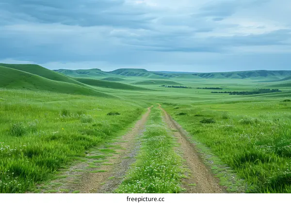 Dirt road through a lush green grassy hill landscape