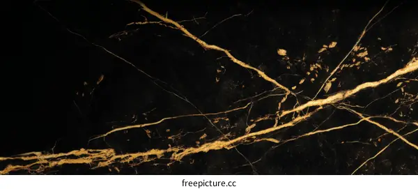 Luxurious Black Marble Texture with Gold Veins