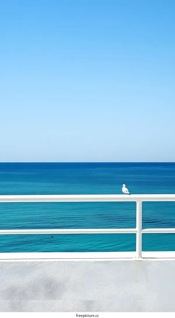 Seagull on a White Railing with Blue Ocean in the Background