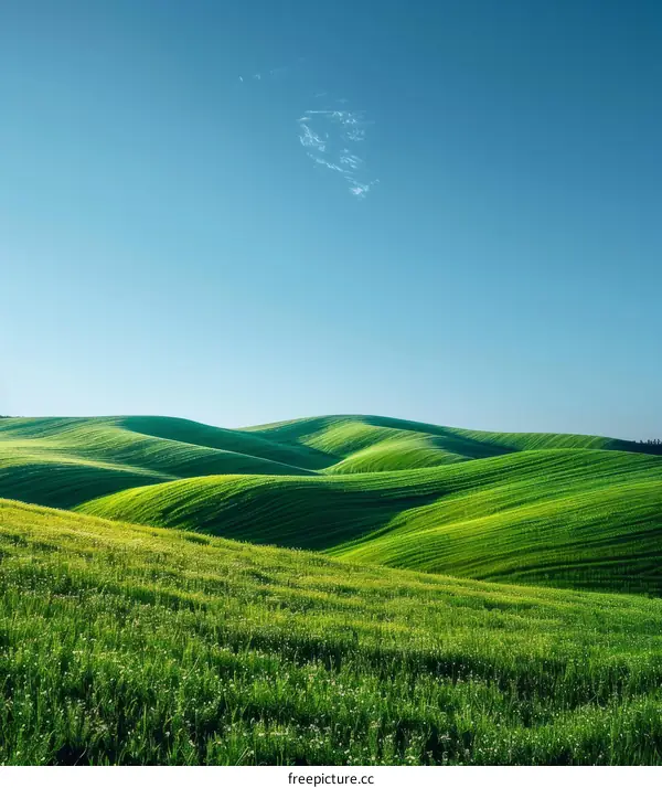 Green rolling hills under blue sky