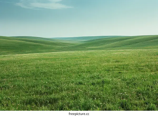 Vast green rolling hills under blue sky