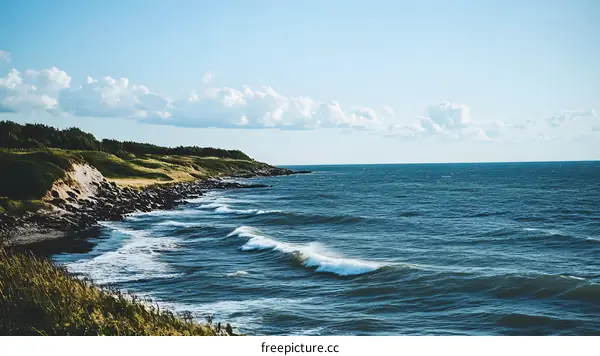 Coastal Landscape with Ocean Waves and Sky