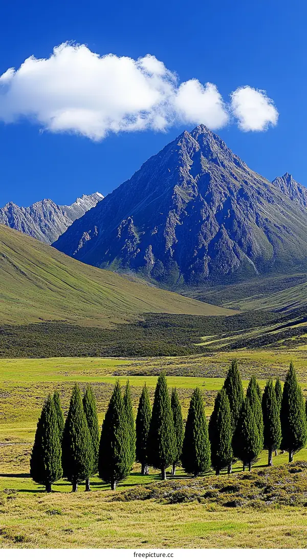 Majestic Mountain Scenery with Evergreen Trees