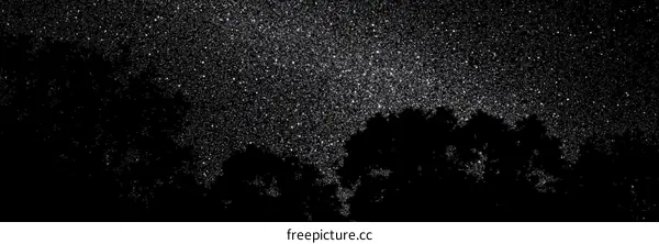 Night Sky Above the Trees