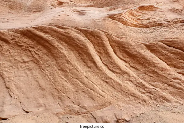 Texture of a Sandy Rock Formation