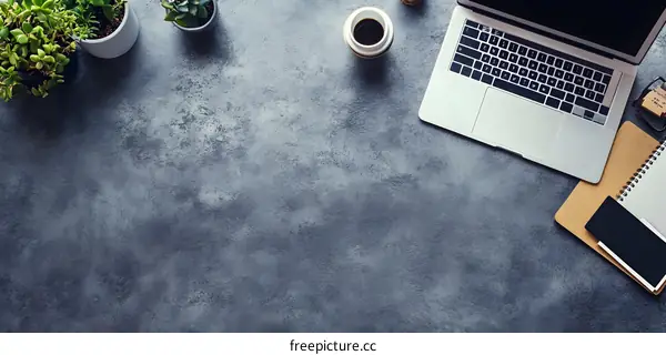 Top View of a Gray Table with a Laptop, Plants, and Coffee