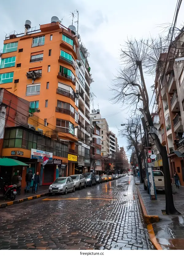 Cobblestone Street in a South American City with Buildings and Cars