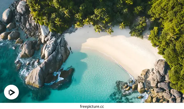 Aerial View of a Secluded Beach With Palm Trees