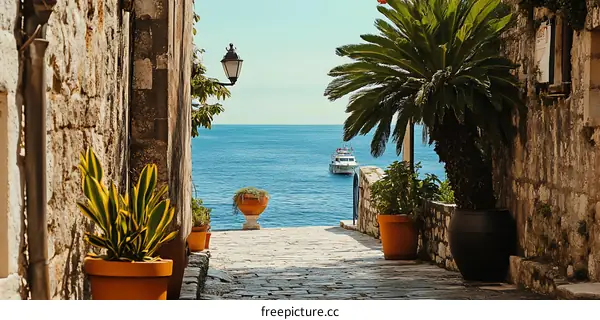 Stone Pathway Leading to the Sea with Palm Tree