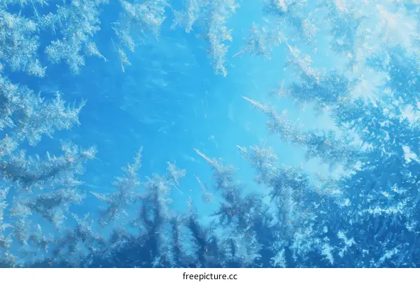 Frosty Patterns on a Winter Window