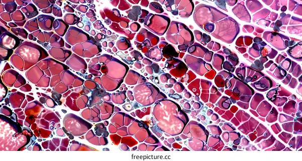 Abstract Purple and Red Liquid Art