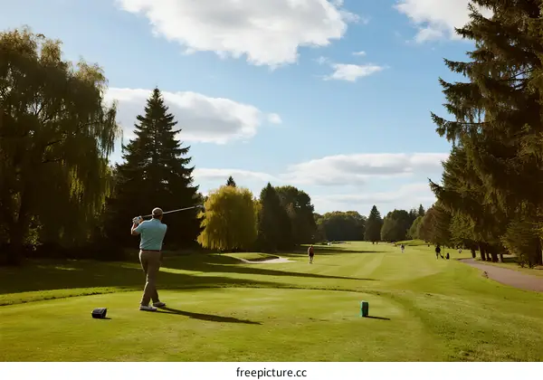 A man playing golf on a well-maintained golf course under a clear sky
