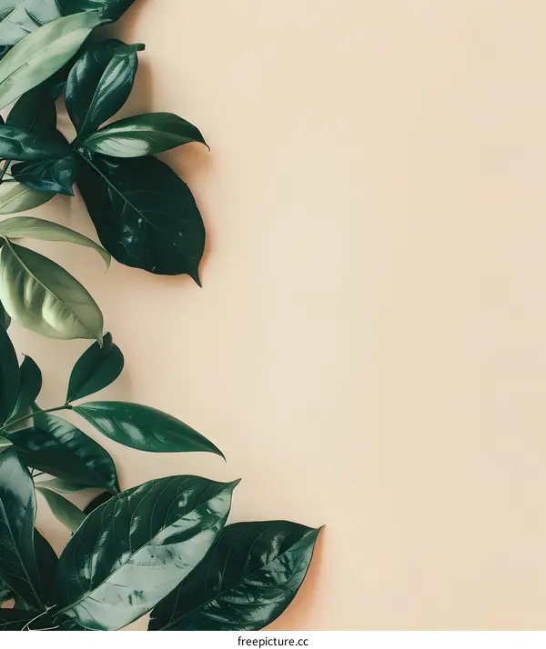 Green Leaves on Beige Background