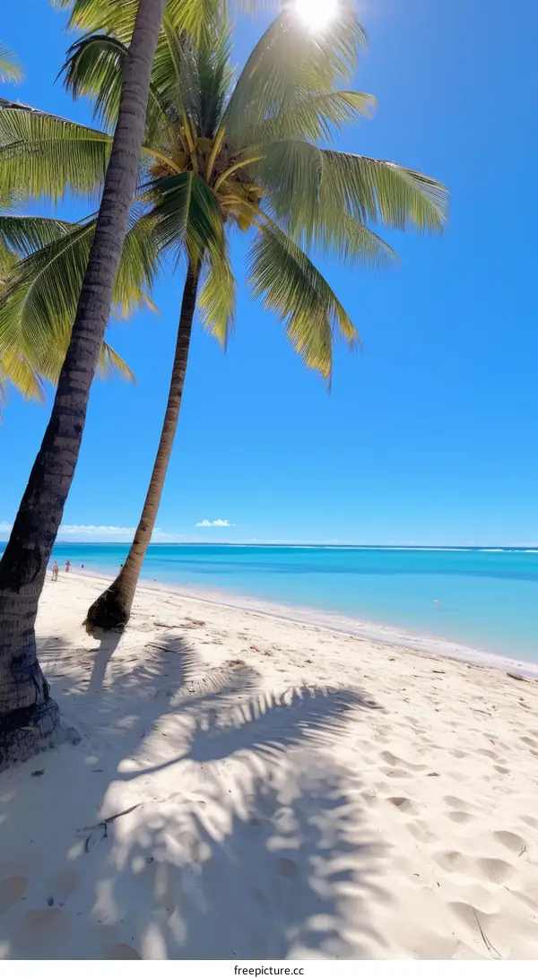 Tropical Beach with Palm Trees and White Sand