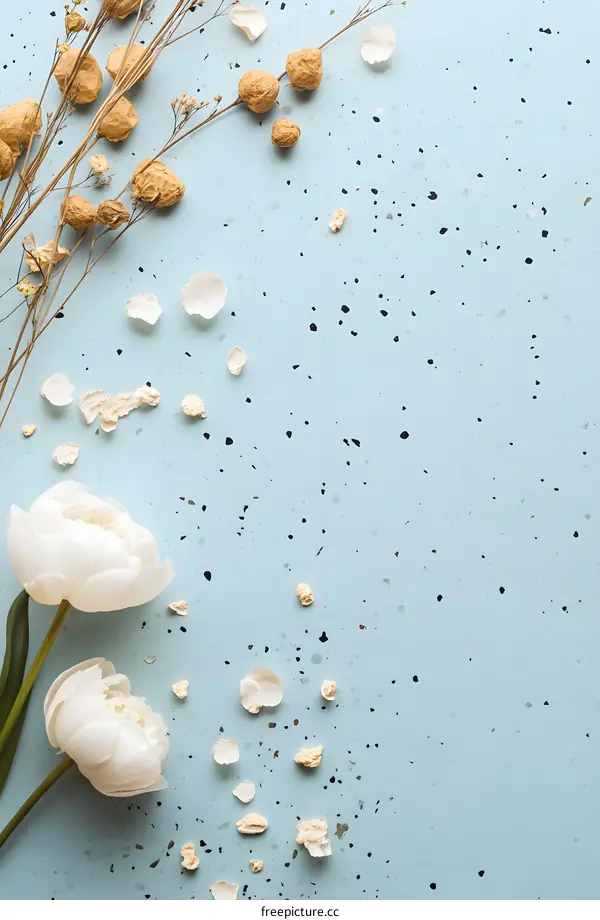 White Peonies and Dried Flowers on a Light Blue Background
