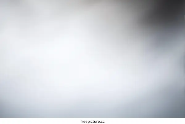 Simple Solid Gray Background Image