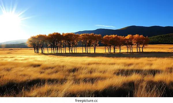 Golden Autumn Meadow with Majestic Trees