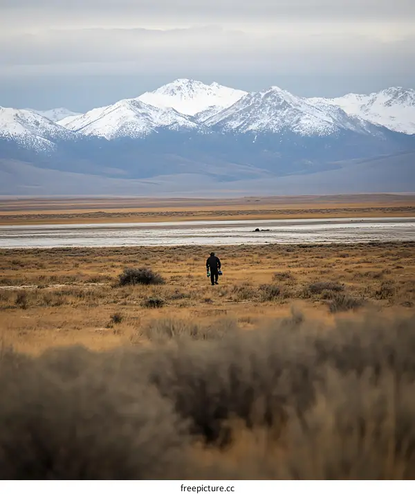 Man Walking in Field with Snowy Mountains in Background