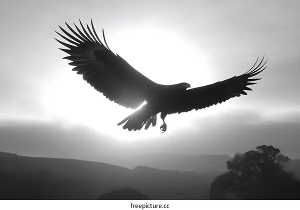 Eagle Flying Through the Sky