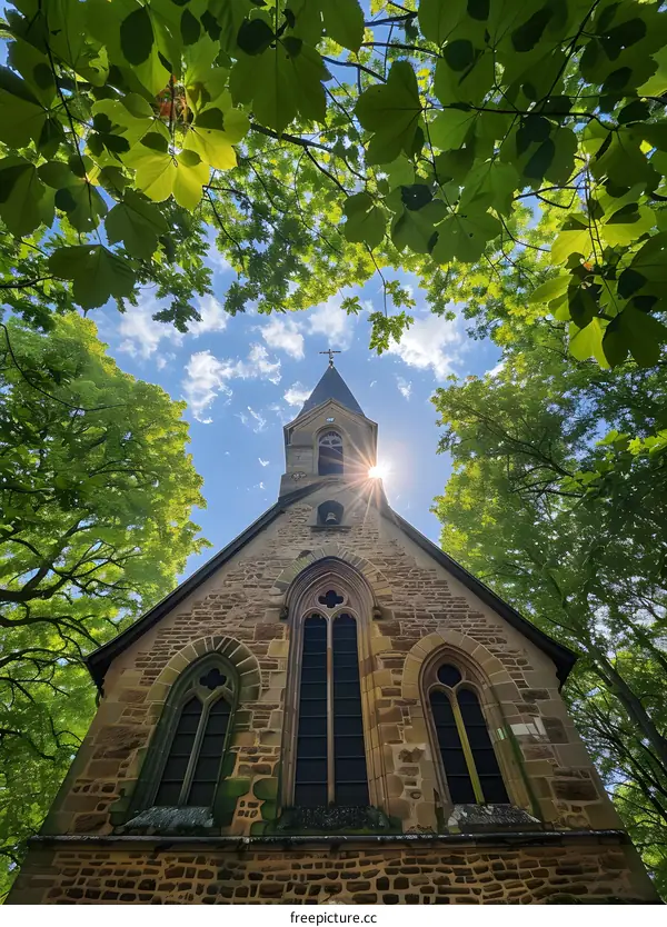 Church Steeple Framed by Lush Green Trees