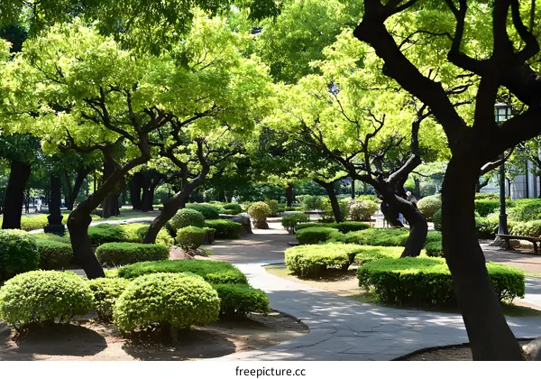 Tranquil Pathway Through Lush Green Park in Japan