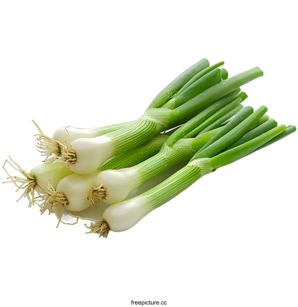 [Transparent Background PNG]Fresh Green Onions on White Background