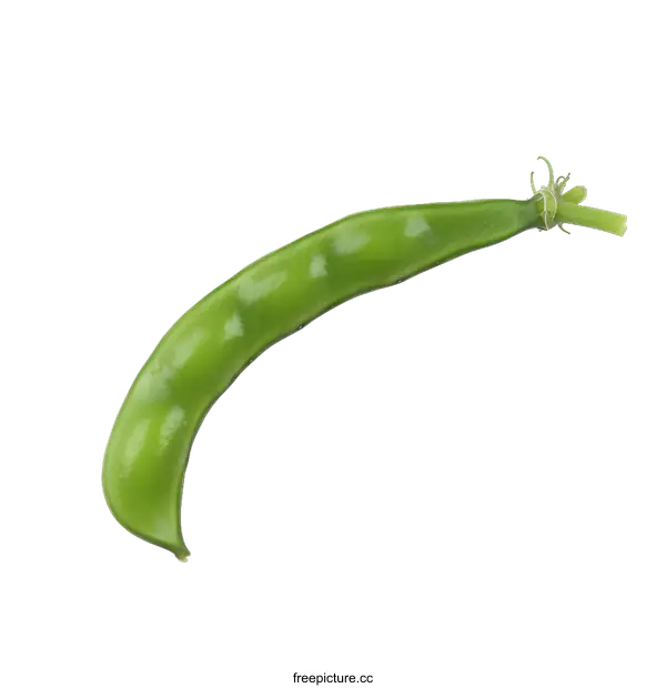 [Transparent Background PNG]Fresh Green Pea Pod Isolated on White Background