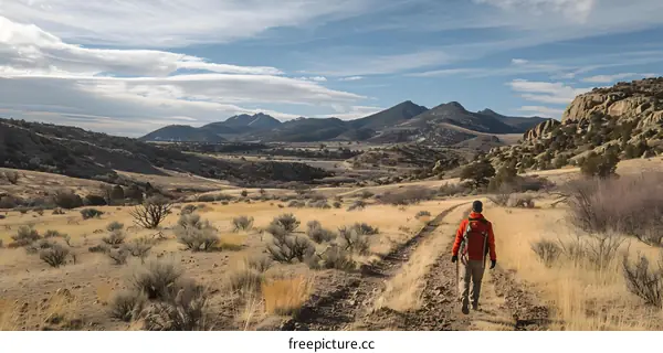 Man hiking in the desert alone