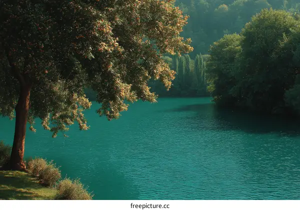Serene Lakeside Scenery with Lush Trees