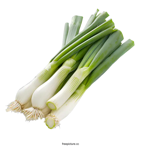 [Transparent Background PNG]Fresh Spring Onions on White Background