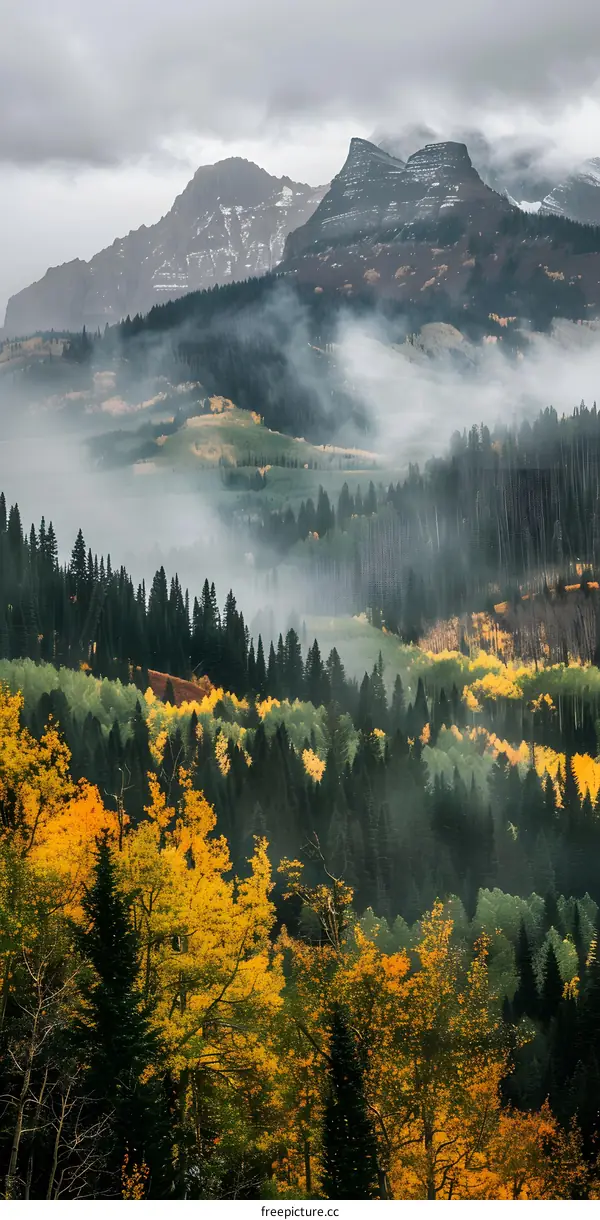 Misty Mountain Landscape with Autumn Foliage