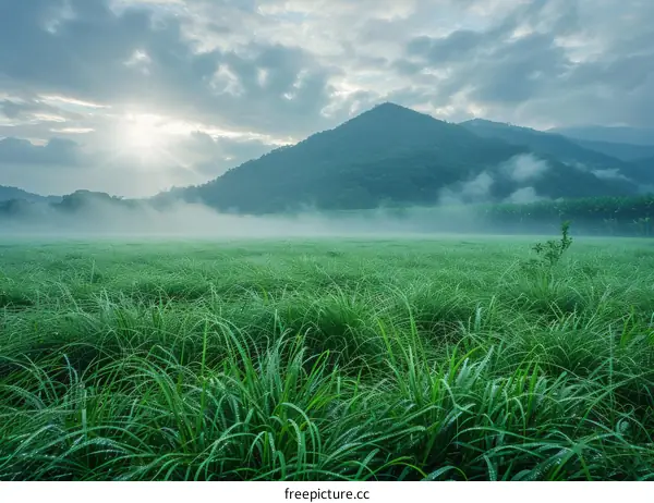 Misty Morning in the Mountains