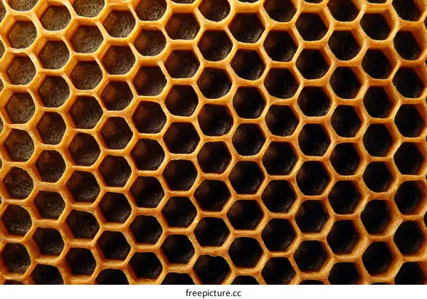 Closeup Honeycomb Texture Pattern