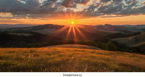 Sunset over a field of wildflowers