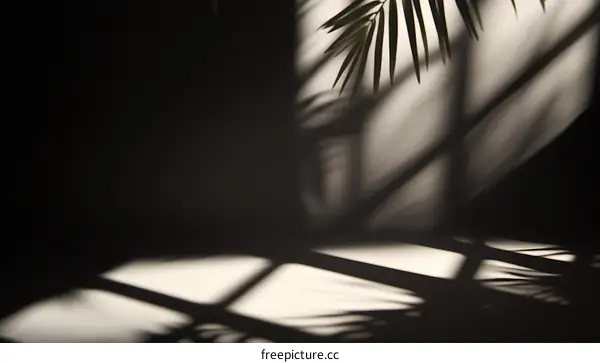 Shadow Play of Palm Leaves on a Wall