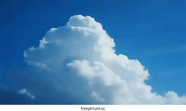 A Fluffy Cumulus Cloud Against a Clear Blue Sky