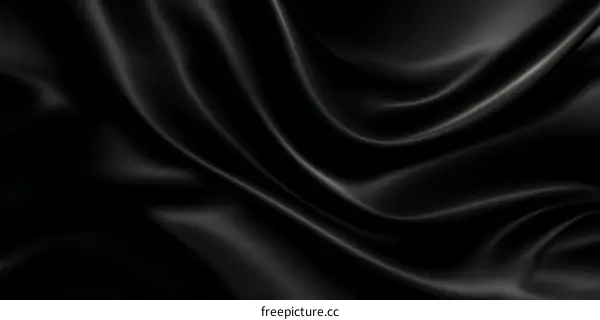 Elegant Black Silk Fabric Texture
