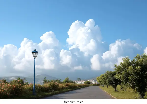 Pathway Under a Cloudy Sky with a Lamp Post